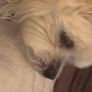 Meet your Posher, Sara